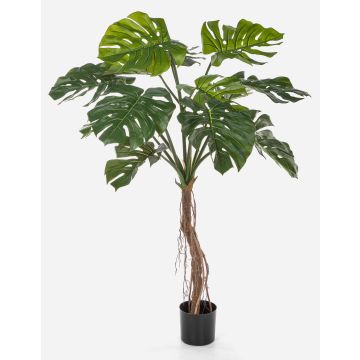 Kunstpflanze Philodendron Monstera Deliciosa IDALINA, Wurzeln, 130cm