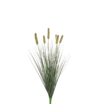 Hasenschwanzgras künstlich ELSAWE, Steckstab, Rispen, grün, 60cm Hasenschwanzgras künstlich ELSAWE, Steckstab, Rispen, grün, 60cm