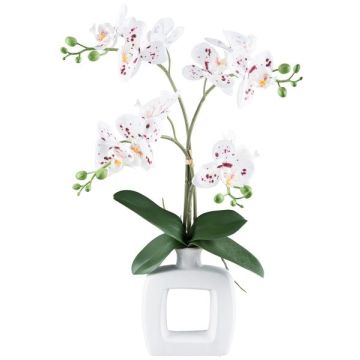 Kunst Phalaenopsis Orchidee DRUKLON, Keramikvase, Wurzeln, weiß-rot, 40cm