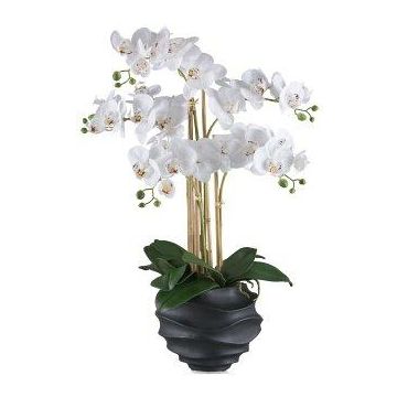Kunst Phalaenopsis Orchidee STONFER, Dekotopf schwarz, Wurzeln, weiß, 70cm