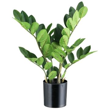 Künstliche Pflanze Zamioculcas BLUHAR, 45cm