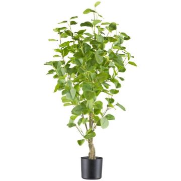 Deko Baum Eukalyptus MERNAS, Kunststamm, grün, 90cm