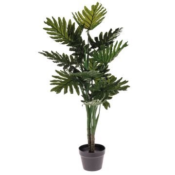 Kunstpflanze Philodendron Monstera selloum RIALTO, 100cm