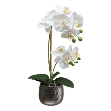 Textil Phalaenopsis Orchidee MERMAY, Keramiktopf, Wurzeln, weiß, 50cm