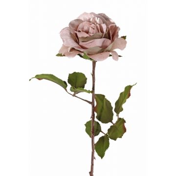 Samt Rose SINDALA, beige-rosa, 60cm, Ø12cm