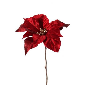 Samt Poinsettia SHEBA, rot, 55cm, Ø23cm