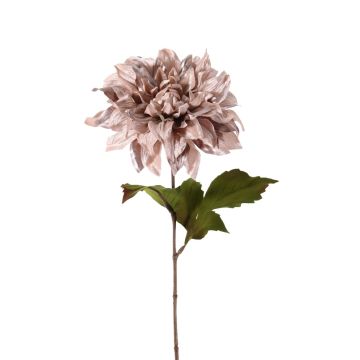 Samt Dahlie MINBU, beige-rosa, 60cm, Ø18cm, Ø18cm