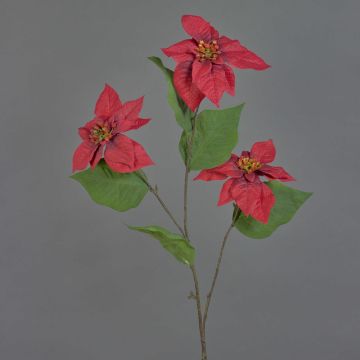 Samt Poinsettia Zweig künstlich TONZI, rot, 80cm, Ø15cm