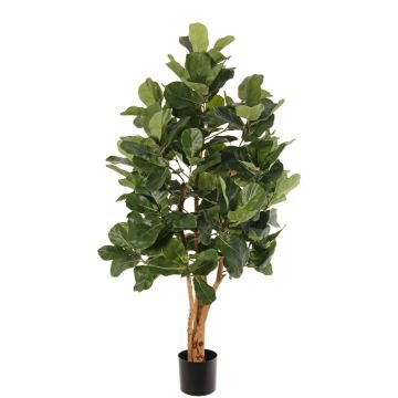 Kunstbaum Ficus lyrata TUNGA, Naturstämme, grün, 150cm