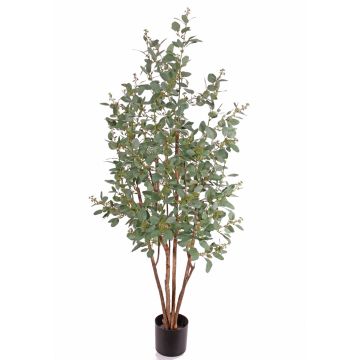 Kunst Eukalyptus Baum NAYAN, Echtstämme, Früchte, crossdoor, grün, 165cm
