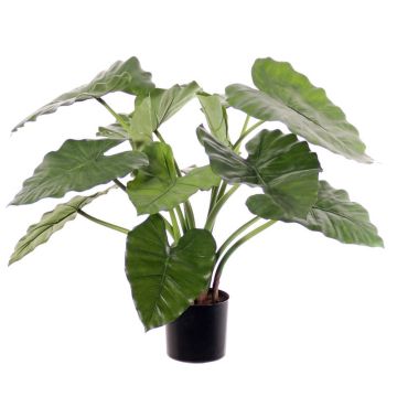 Kunstpflanze Alocasia Calidora YONCE, grün, 60cm