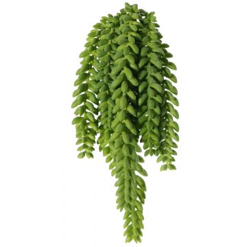 Künstlicher Sedum morganianum Hänger DESPOINA, grün, 30cm