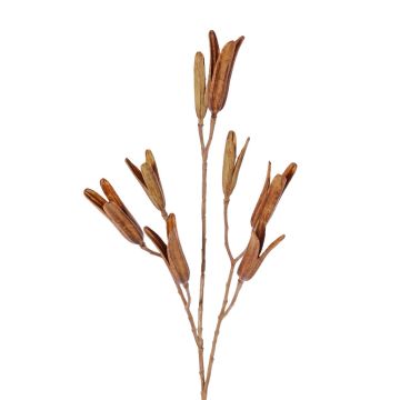 Kunststoff Liliensamen Zweig ELFIDA, braun, 80cm, Ø2-4cm