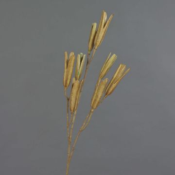 Kunststoff Liliensamen Zweig ELFIDA, braun, 80cm, Ø2-3cm Kunststoff Liliensamen Zweig ELFIDA, braun, 80cm, Ø2-3cm