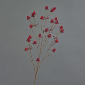 Deko Zweig Edeldistel LOUKAS, rot, 70cm, Ø1-1,5cm