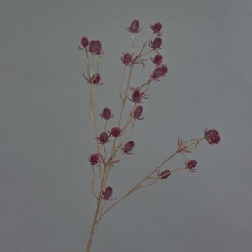 Deko Zweig Edeldistel LOUKAS, burgunderrot, 70cm, Ø1-1,5cm