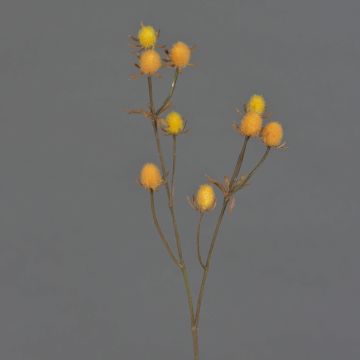 Deko Zweig Edeldistel LOUKAS, gelb-orange, 45cm, Ø1-1,5cm