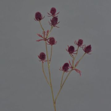 Deko Zweig Edeldistel LOUKAS, burgunderrot, 45cm, Ø1-1,5cm