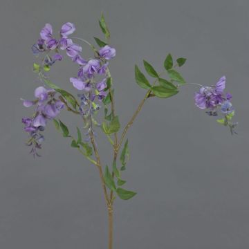 Blauregen Zweig künstlich SOULA mit Blüten, lila, 80cm, Ø7-8cm