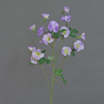 Künstliche Trichterwinde Zweig IORDANIS, lila-grün, 80cm, Ø3-5,5cm