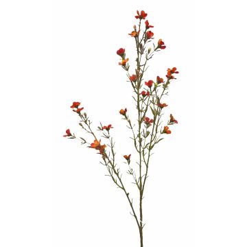 Künstliche Wachsblume NIANG, orange-rot, 80cm, Ø2-3cm