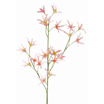 Kunstblume Tweedia solanoides PALLAS, rosa, 75cm, Ø5cm