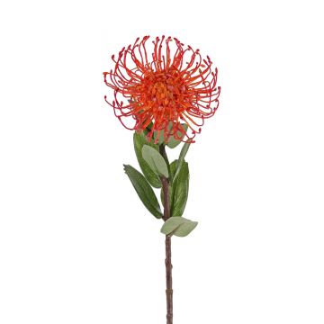 Künstliche Nadelkissen Protea BAILY, orange, 50cm, Ø12cm