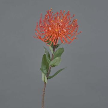 Künstliche Nadelkissen Protea BAILY, orange, 55cm, Ø10cm
