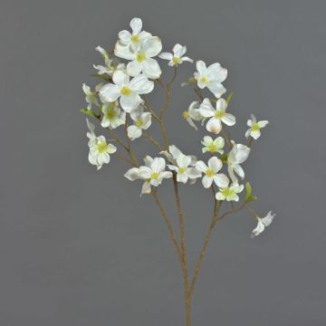 Kunstblume Hartriegel NARIUS mit Blüten, weiß-grün, 80cm, Ø4-7cm