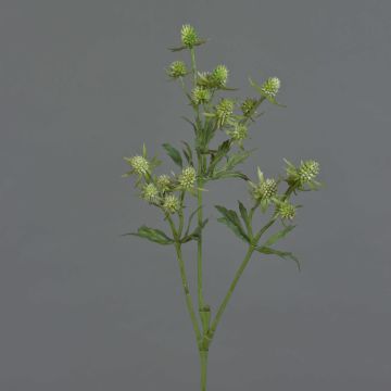 Kunstblumenzweig Edeldistel KALYPSO, grün, 65cm, Ø3-4cm