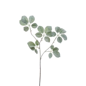 Unechter Schefflera Zweig SELENIO, grün-grau, 70cm