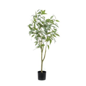 Kunstbaum Eukalyptus ILONKA, Kunststamm, grün, 115cm