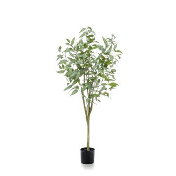 Kunstbaum Eukalyptus ILONKA, Kunststamm, grün, 150cm