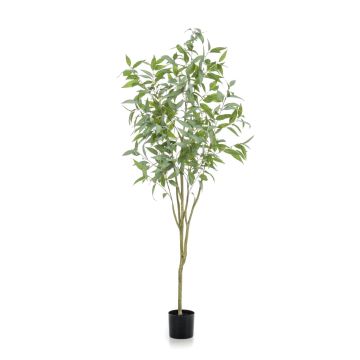 Kunstbaum Eukalyptus ILONKA, Kunststamm, grün, 195cm