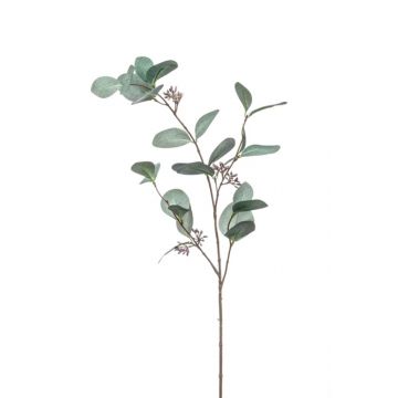 Unechter Eukalyptus Zweig MAXEN mit Früchten, grün-grau, 75cm
