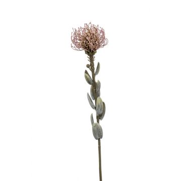 Künstliche Nadelkissen Protea AUSCHRA, mauve, 60cm, Ø8cm