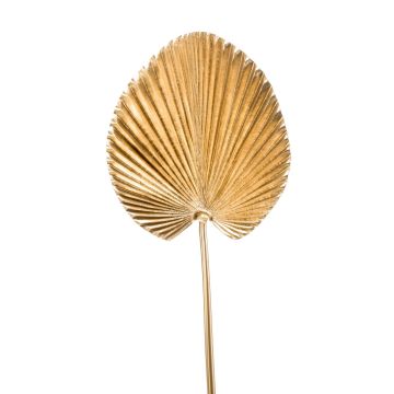 Künstlicher Washingtonia Palmwedel RHENA, gold, 75cm