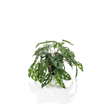 Kunstpflanze Philodendron Monstera adansonii TREVYN, 55cm
