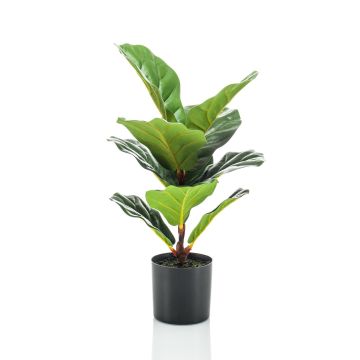 Künstlicher Ficus Lyrata EMILIANA, grün, 55cm