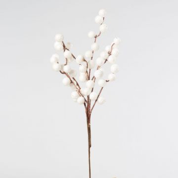 Kunstzweig Gomphocarpus KALANI mit Früchten, gefroren, weiß, 45cm