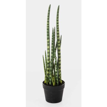 Kunstpflanze Sansevieria Cylindrica AIDANA, grün-gelb, 65cm