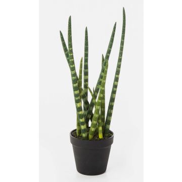 Kunstpflanze Sansevieria Cylindrica AIDANA, grün-gelb, 40cm