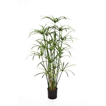 Kunstpflanze Zyperngras ALBY, grün, 125cm