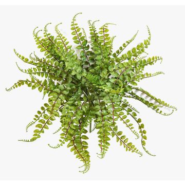 Künstlicher Knopffarn IMAI auf Steckstab, grün, 40cm, Ø50cm Künstlicher Knopffarn IMAI auf Steckstab, grün, 40cm, Ø50cm