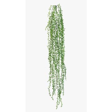 Künstliche Erbsenpflanze Senecio Hänger FANJA auf Steckstab, grün, 85cm