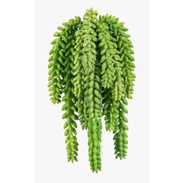 Kunst Sedum morganianum DIPHDA auf Steckstab, schwer brennbar, grün, 30cm