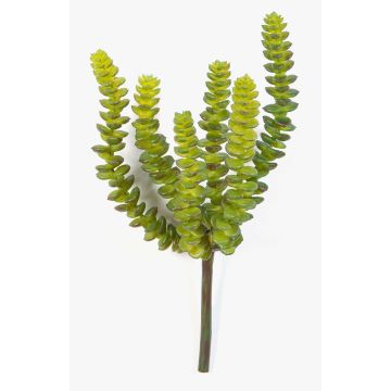 Künstliche Crassula Perforata FULU auf Steckstab, grün, 15cm