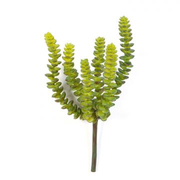 Künstliche Crassula Perforata FULU auf Steckstab, grün, 15cm