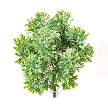 Deko Crossostephium KARAHNI auf Steckstab, grün, 20cm