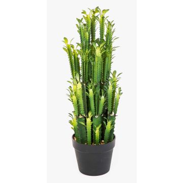 Künstlicher Kaktus Euphorbia trigona KAROLIINA, grün, 65cm